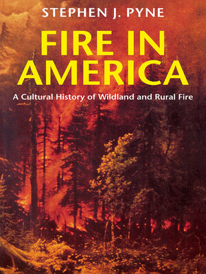 cover image of Fire in America